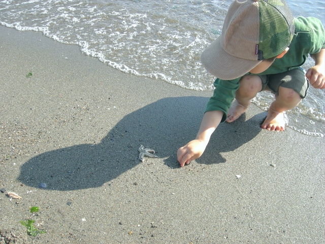 砂浜の子供